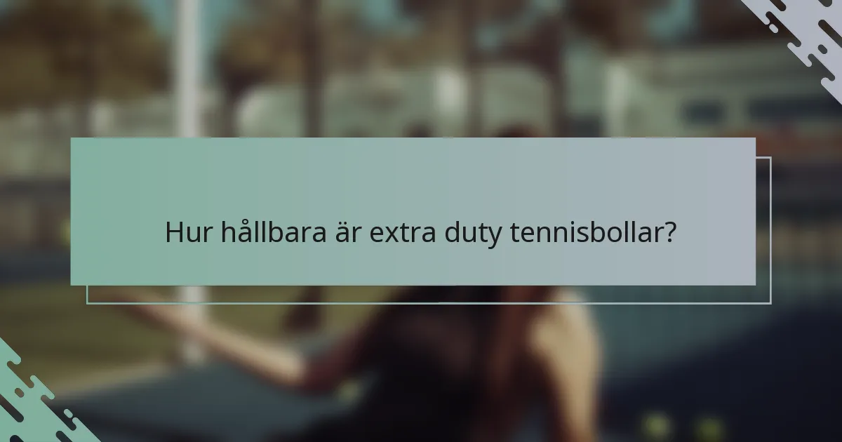 Hur hållbara är extra duty tennisbollar?