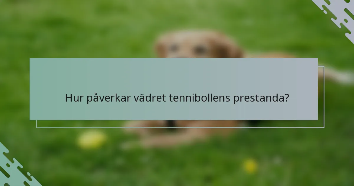 Hur påverkar vädret tennibollens prestanda?