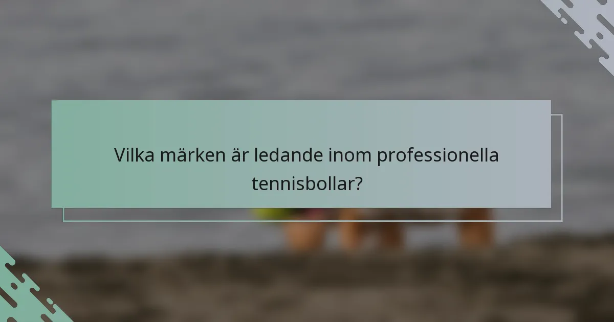 Vilka märken är ledande inom professionella tennisbollar?