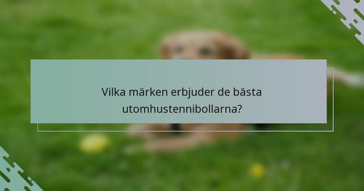 Vilka märken erbjuder de bästa utomhustennibollarna?